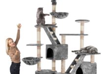 🐾 Kratzbaum mit Höhle, Hängematte & Co.: Welches Modell passt zu Ihrer Katze?