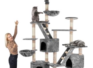 🐾 Kratzbaum mit Höhle, Hängematte & Co.: Welches Modell passt zu Ihrer Katze?