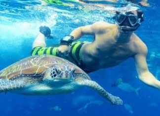 Schildkröten Hurghada hautnah erleben: Ein Schnorchel-Abenteuer im Naturschutzgebiet Abu Dabbab