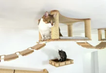 Warum ein Katzen Kletterbaum unverzichtbar für Wohnungskatzen ist